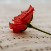 Playlist di Primavera
