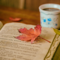 consigli-libri-autunno